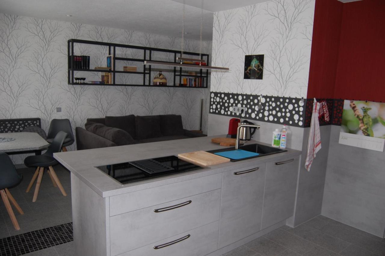 Hochwertige Ferienwohnung/Zentrumsnahe Lage! Райхенбах-им-Фогтланд Экстерьер фото